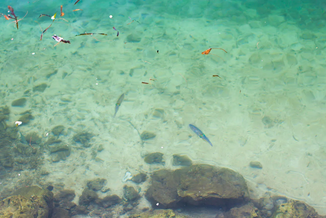 Cover Image of the Post