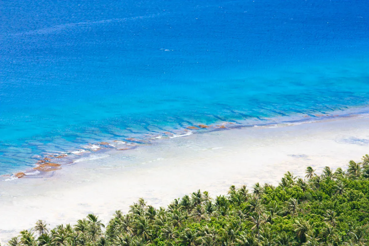 Cover Image of the Post