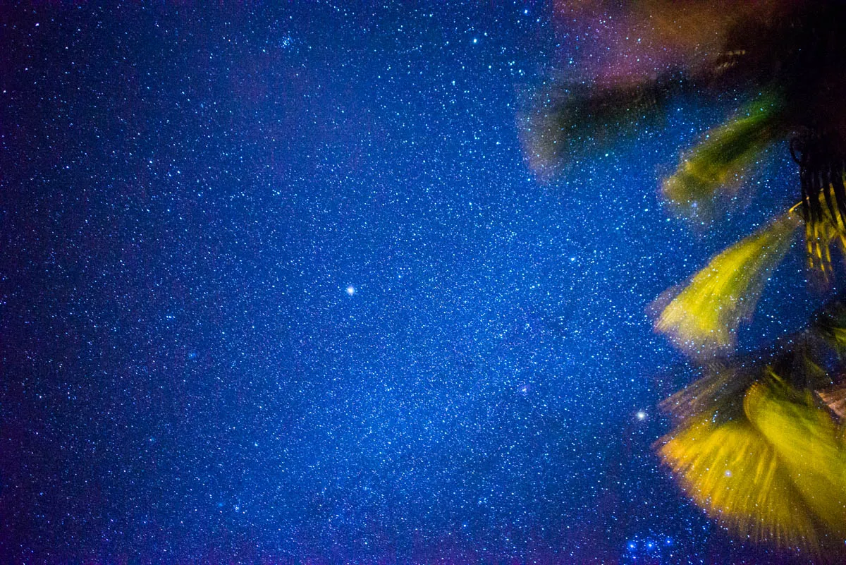 Cover Image of the Post