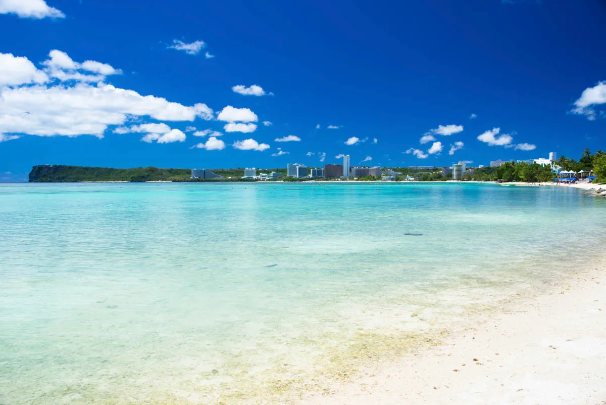 Cover Image of the Post