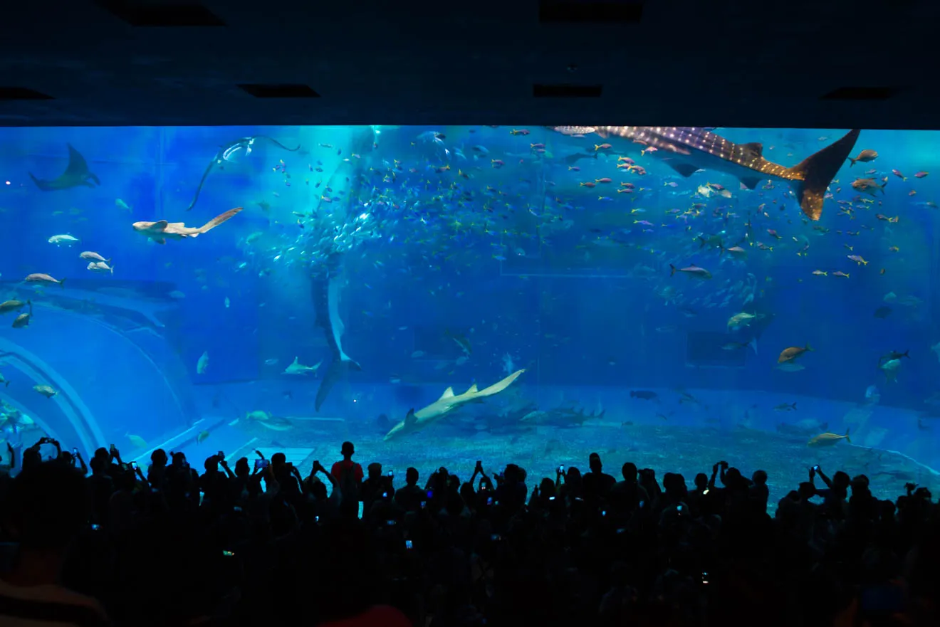 Cover Image of the Post