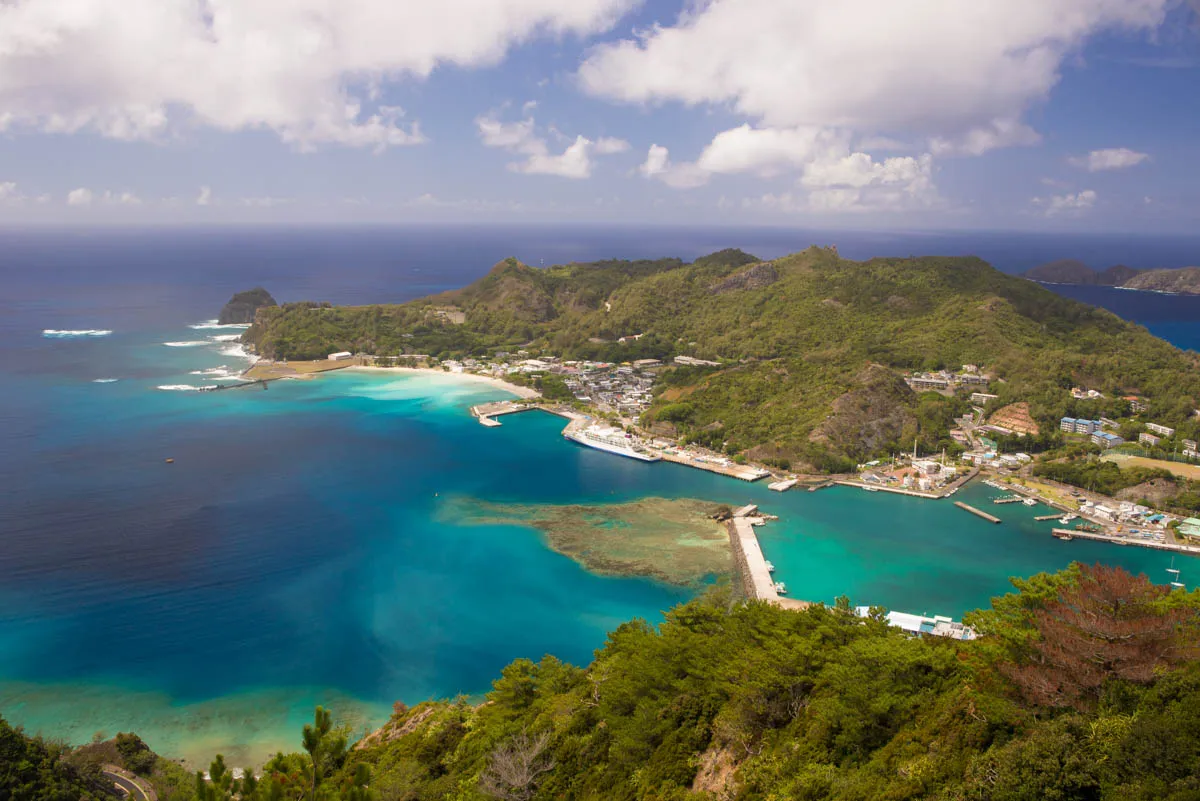 Cover Image of the Post